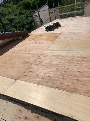 構造用合板12mmを施工