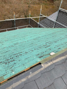 カラーベスト撤去後の写真