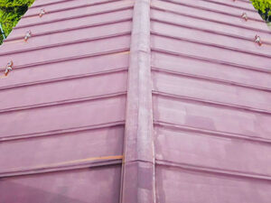 京都市山科区で棟包み板金の交換工事 施工前