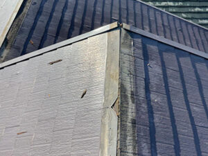 京都府向日市にてパミール屋根のスーパーガルテクト葺きカバー工法